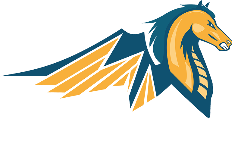 PegasusNation
